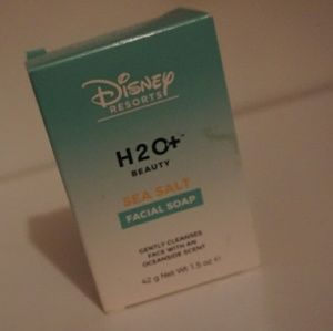 Disney resory h2o soap